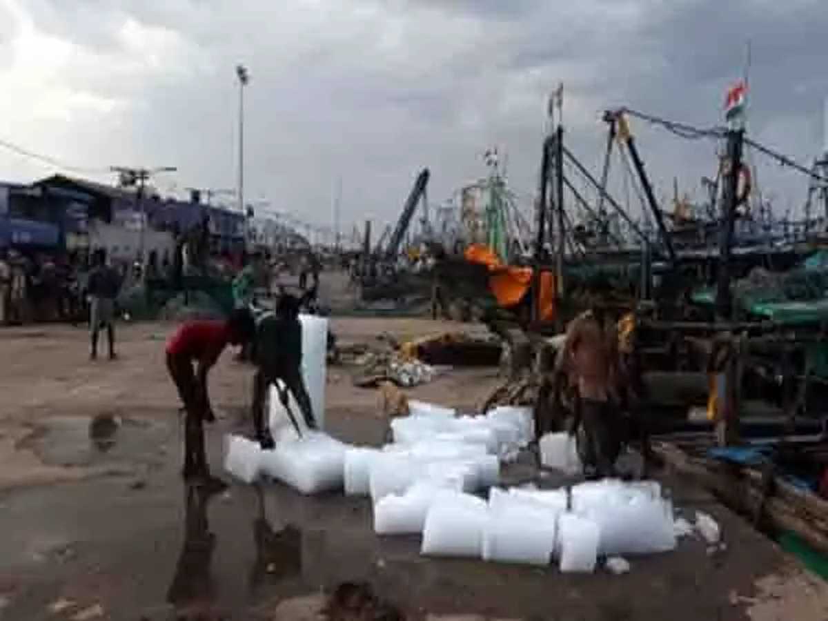 तमिलनाडु के मछुआरे श्रीलंका से नावों को वापस लाने के लिए चाहते हैं सरकारी हस्तक्षेप तमिलनाडु के मछुआरे श्रीलंका से नावों को वापस लाने के लिए चाहते हैं सरकारी हस्तक्षेप